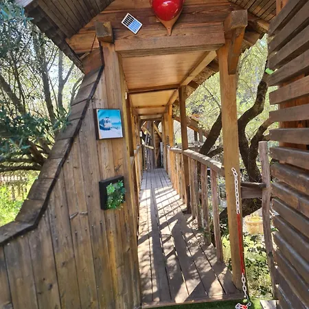 Bed & Breakfast O Fil De L'eau Omessa