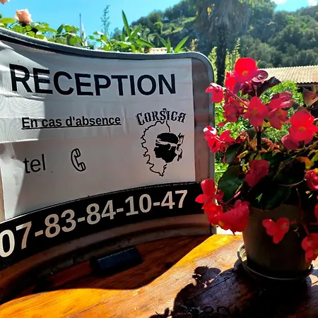 Bed & Breakfast O Fil De L'eau Omessa