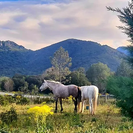 O Fil De L'eau Piscine Acces Riviere