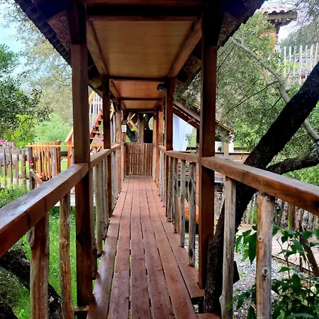 O Fil De L'eau Piscine Acces Riviere