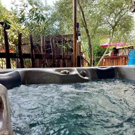 Bed and Breakfast O Fil De L'eau Piscine Acces Riviere Omessa