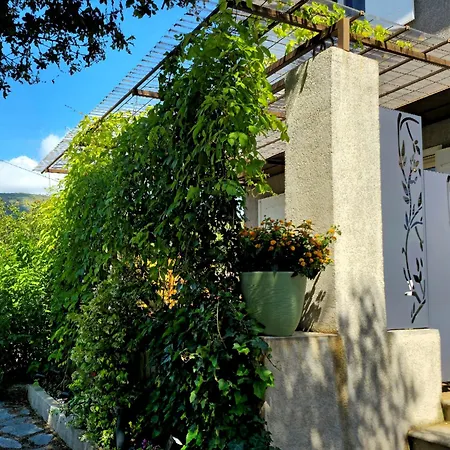 O Fil De L'eau Piscine Acces Riviere Bed & Breakfast
