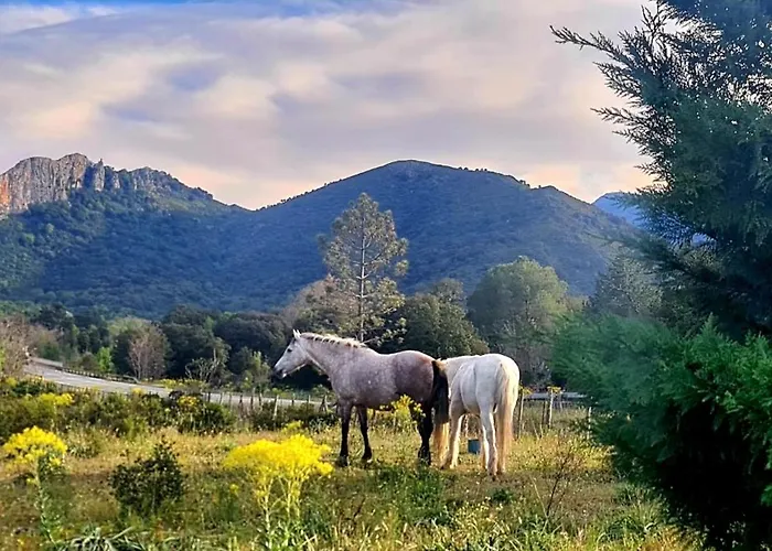 O Fil De L'eau Piscine Acces Riviere