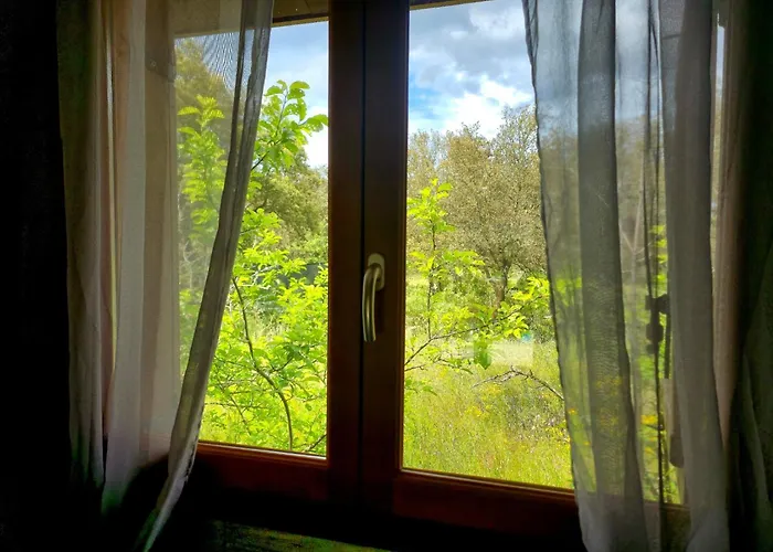 Alojamento de Acomodação e Pequeno-almoço O Fil De L'eau Piscine Acces Riviere 4*