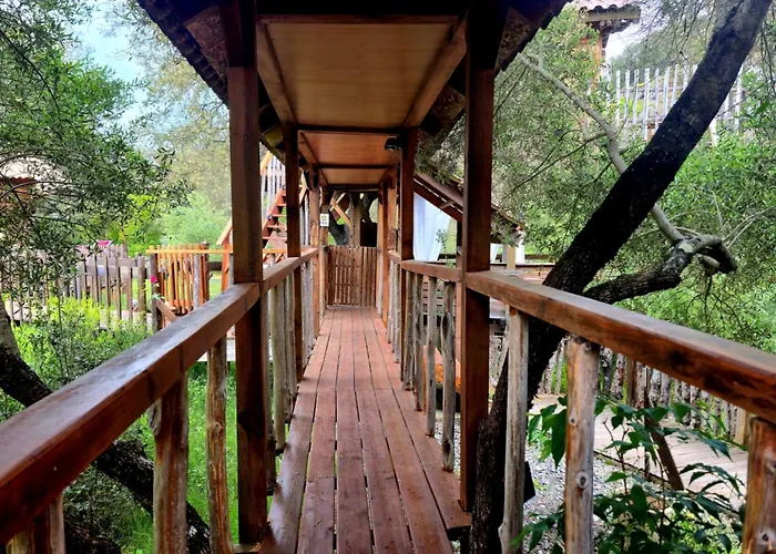 O Fil De L'eau Piscine Acces Riviere