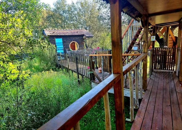 Bed & Breakfast O Fil De L'eau Piscine Acces Riviere Omessa